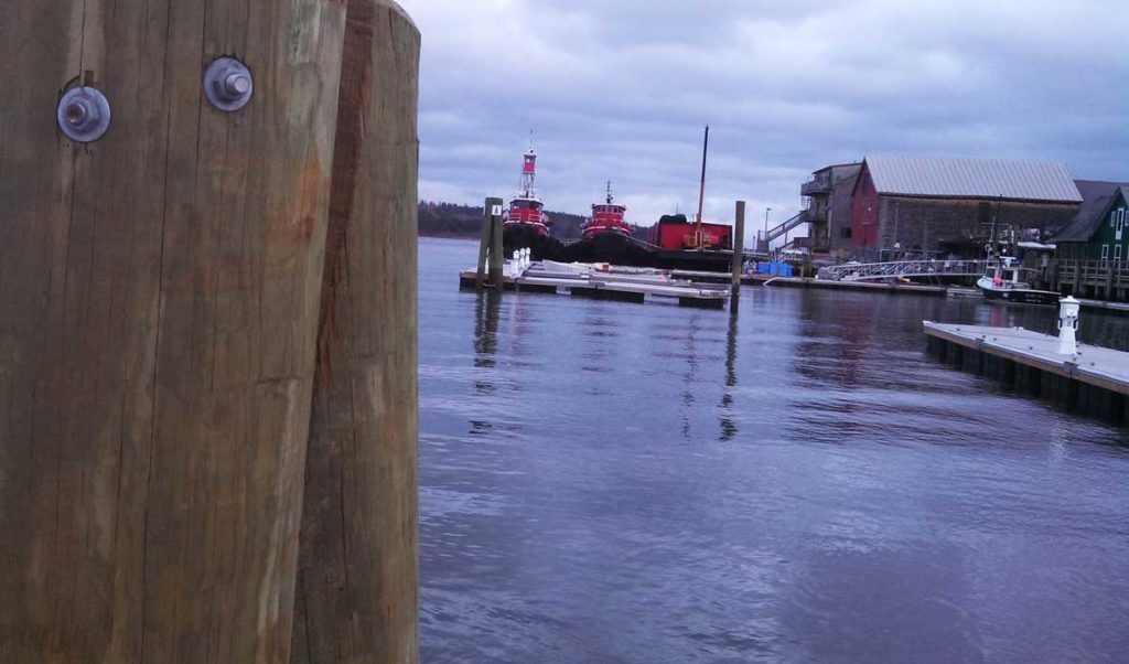 A view of Belfast's tug boats from the harbor walkway.