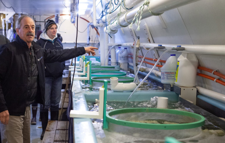 Bill Mook gives the Island Institute's Aquaculture Business Development cohort a tour of the shellfish hatchery at Mook Sea Farm.