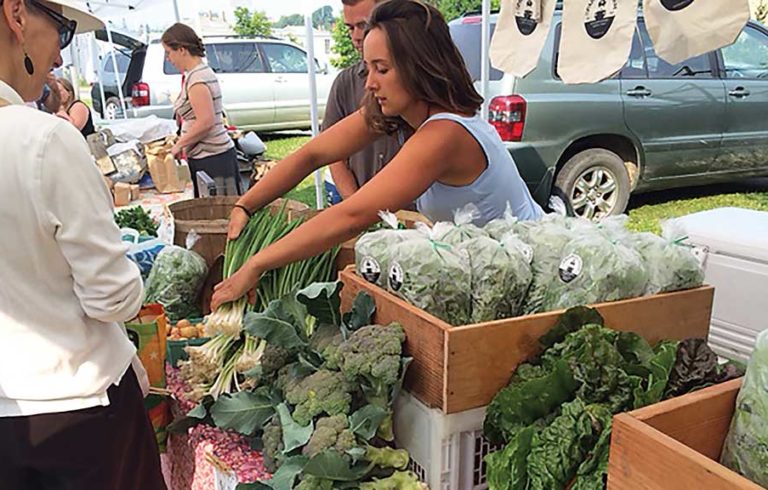 Artisan vegetables: Sparkplug Farm at the Vinalhaven Farmers Market.