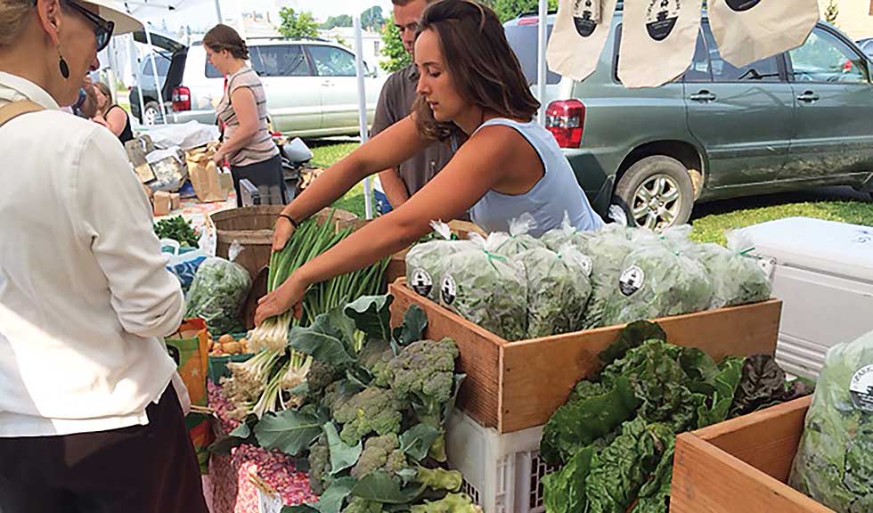 Artisan vegetables: Sparkplug Farm at the Vinalhaven Farmers Market.