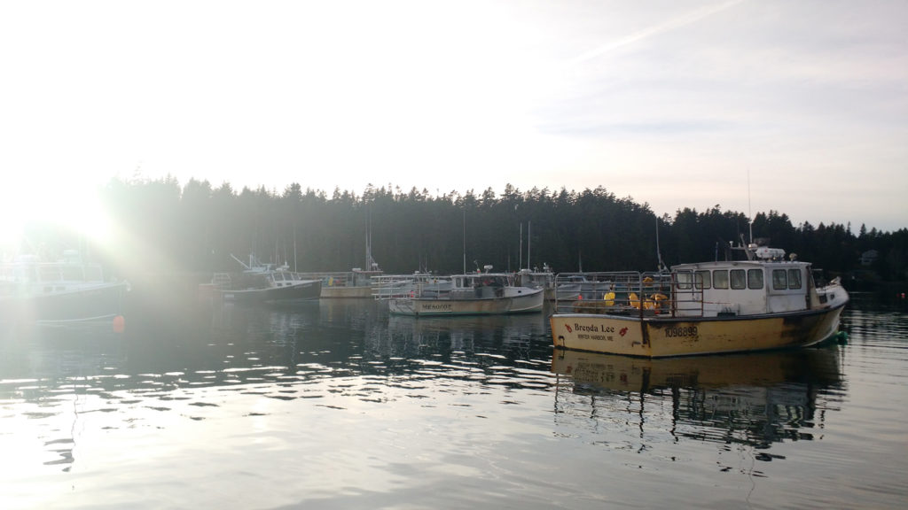 Boats at the Winter Harbor Lobster Coop