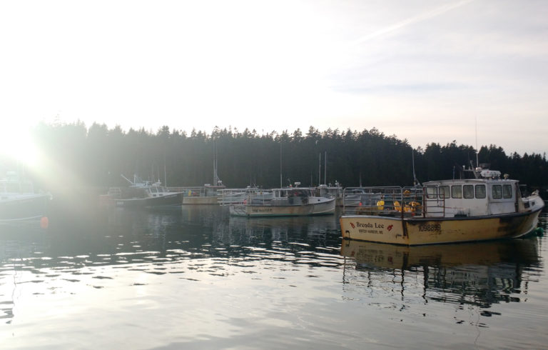 Boats at the Winter Harbor Lobster Coop