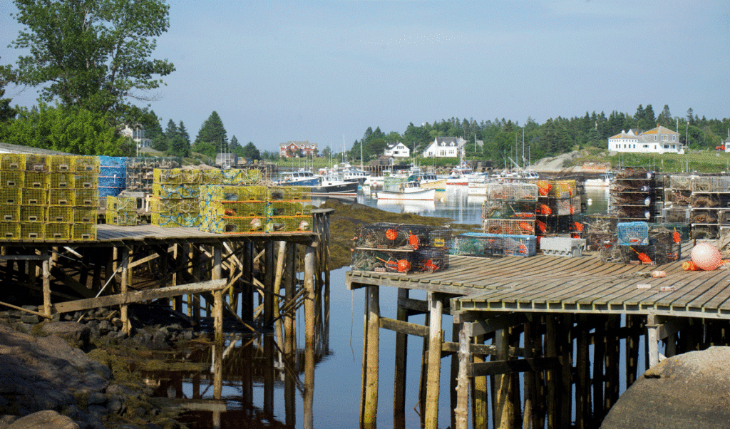 Corea's harbor is a lobstering haven.