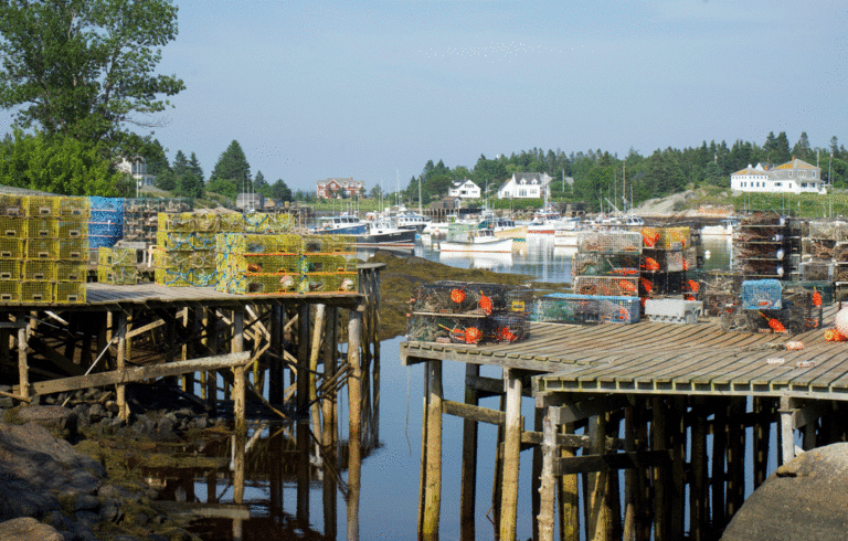 Corea's harbor is a lobstering haven.