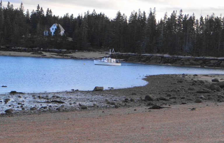 A beach at Naskeag Harbor in Brooklin.