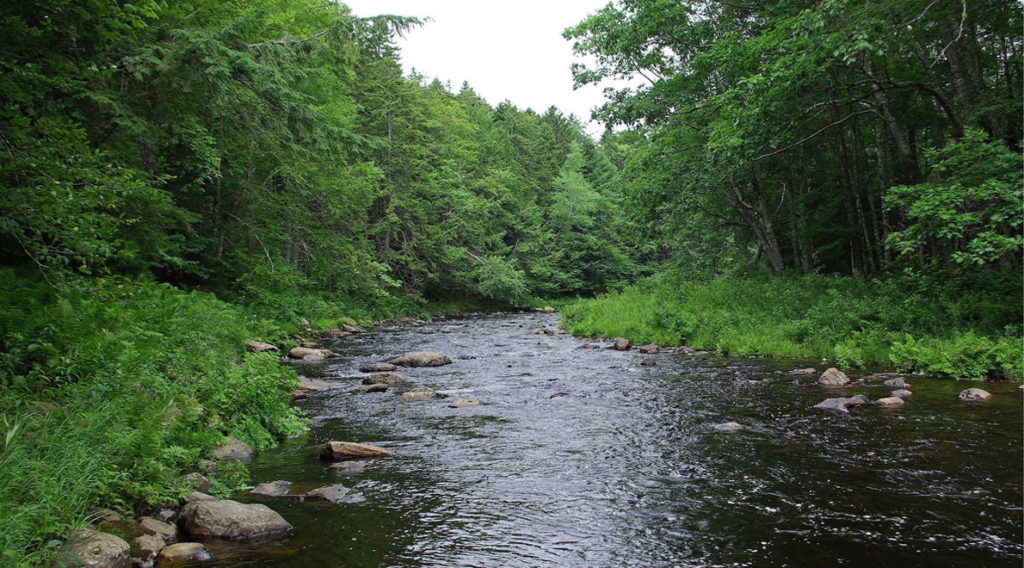 Ducktrap River