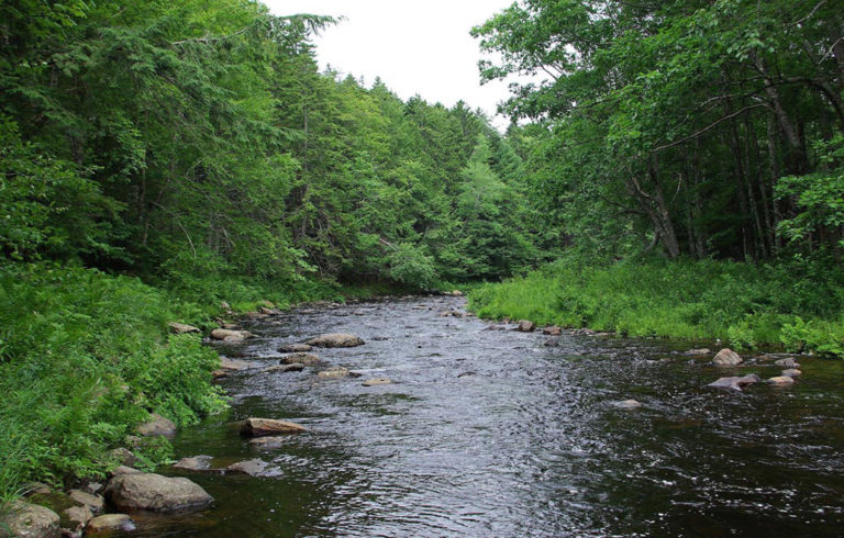 Ducktrap River