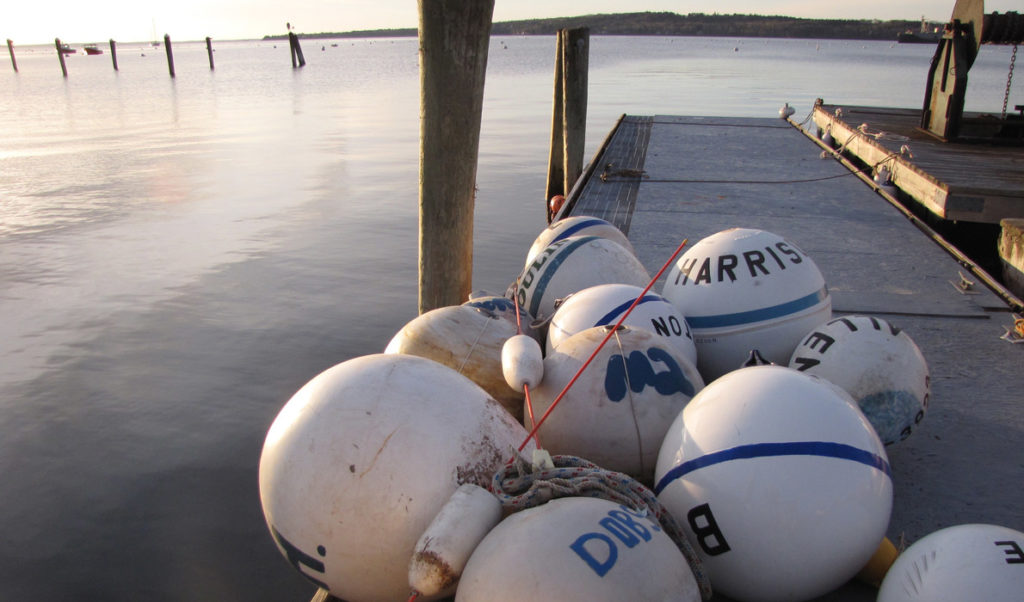 Rockland Harbor