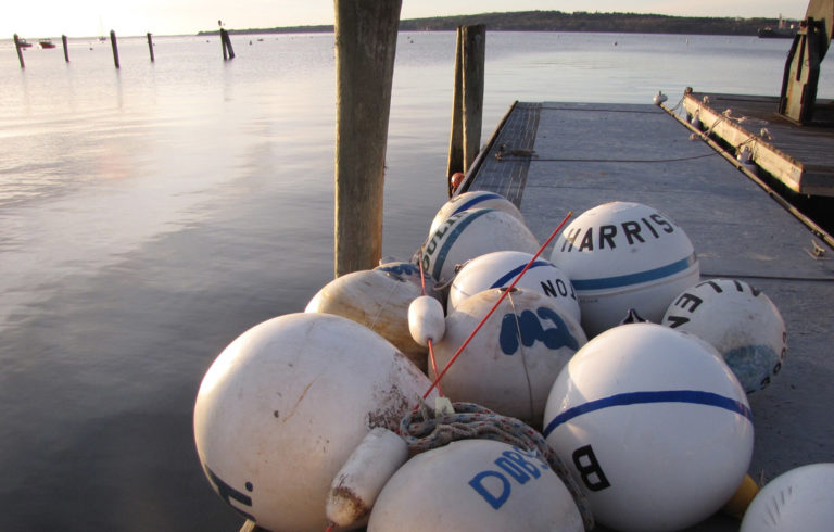 Rockland Harbor