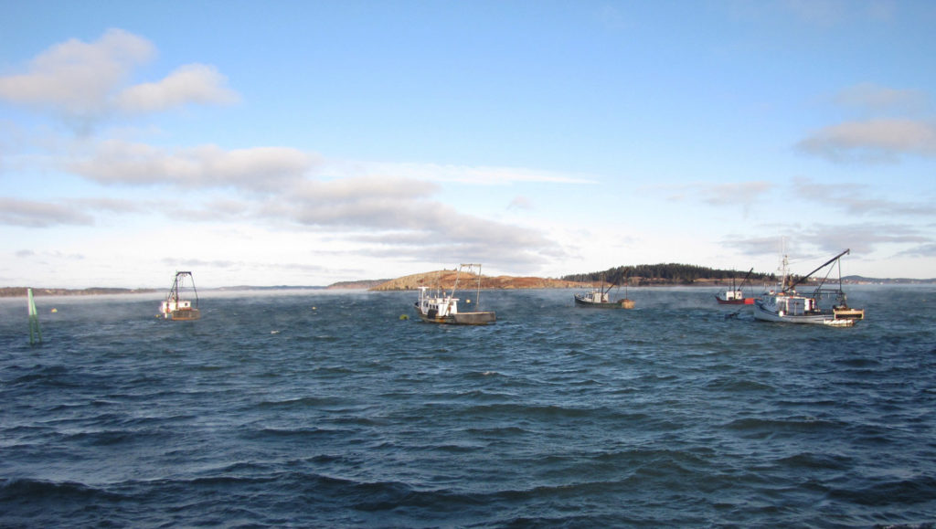 Boats rigged for scallop dragging moored in Lubec.