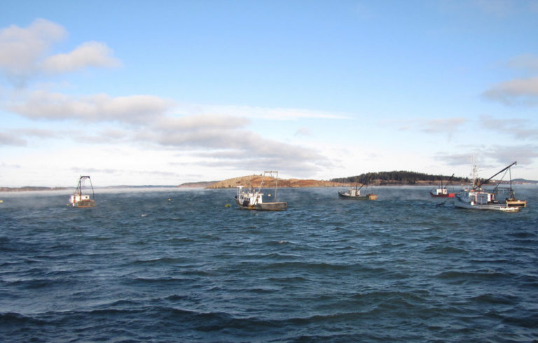 Boats rigged for scallop dragging moored in Lubec.