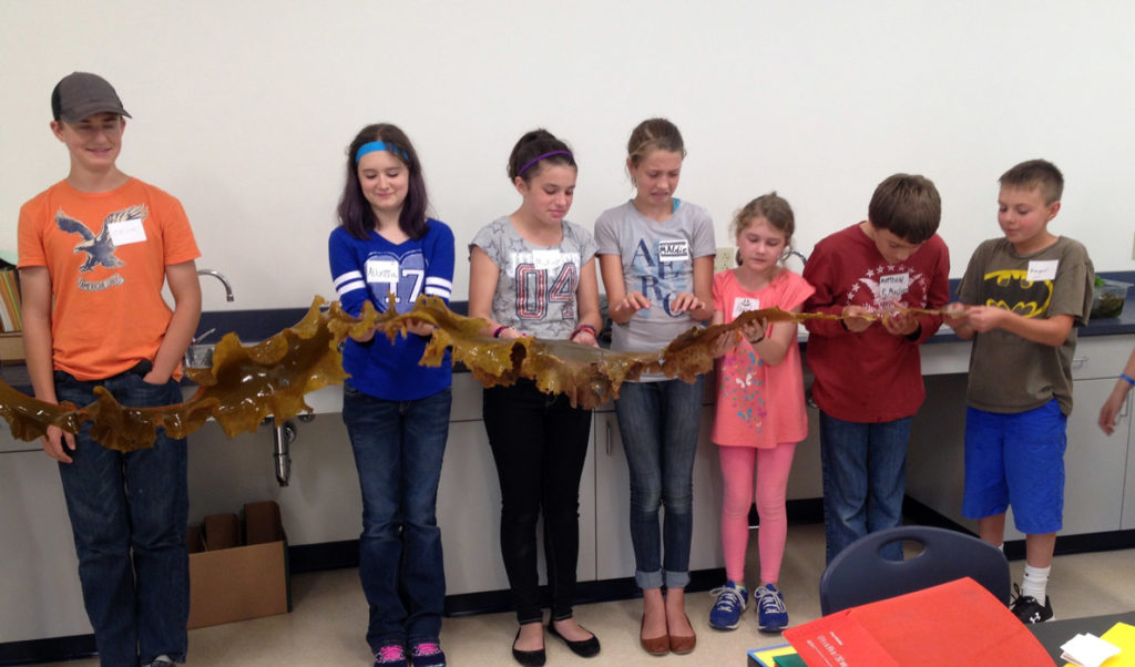 Students hold a “blade” of kelp they’ve grown.