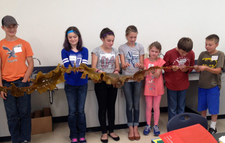 Students hold a “blade” of kelp they’ve grown.