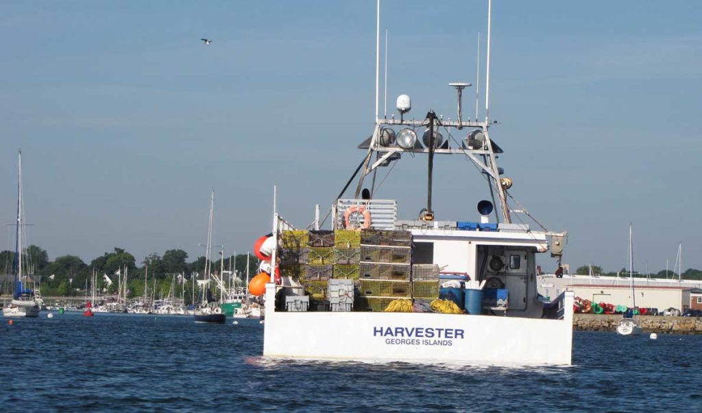 Harvester in Rockland Harbor.