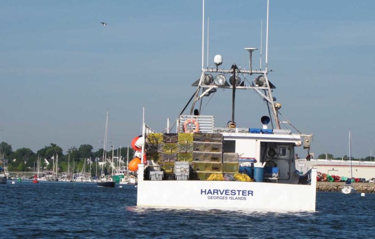 Harvester in Rockland Harbor.