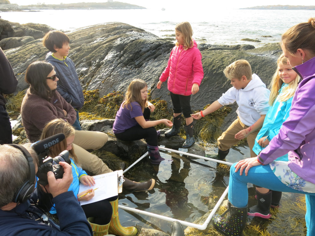 Long Island students studying biodiversity in a tide pool