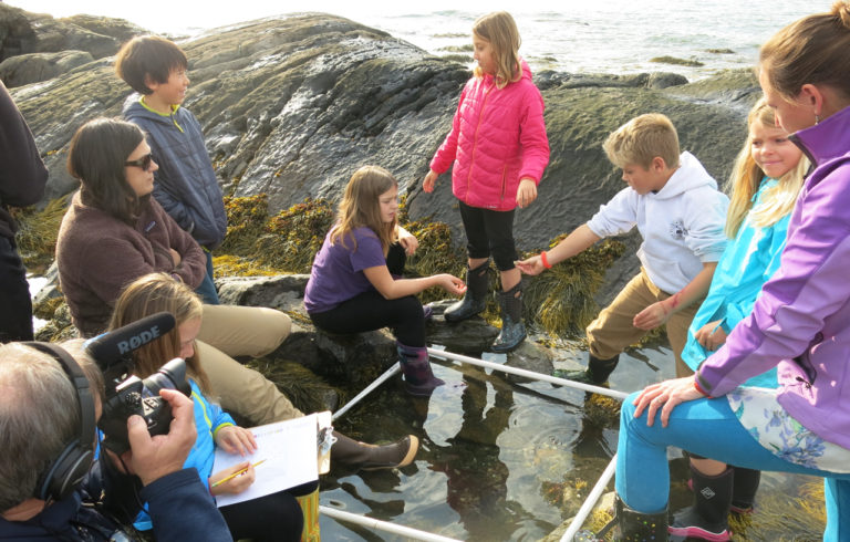 Long Island students studying biodiversity in a tide pool