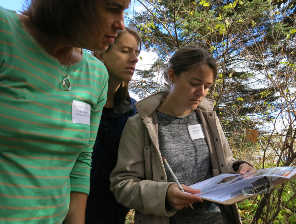 Teachers practice identifying invasive species during a Vital Signs workshop