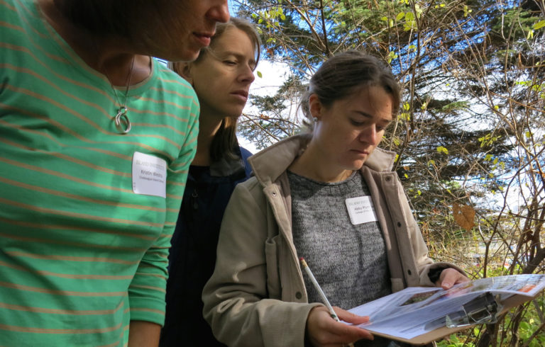 Teachers practice identifying invasive species during a Vital Signs workshop