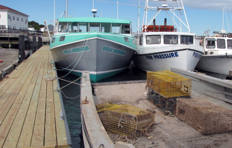 Lobster boats docked inside Eastport’s breakwater. Lobstermen throughout Maine now face a trade hurdle their Canadian counterparts do not.