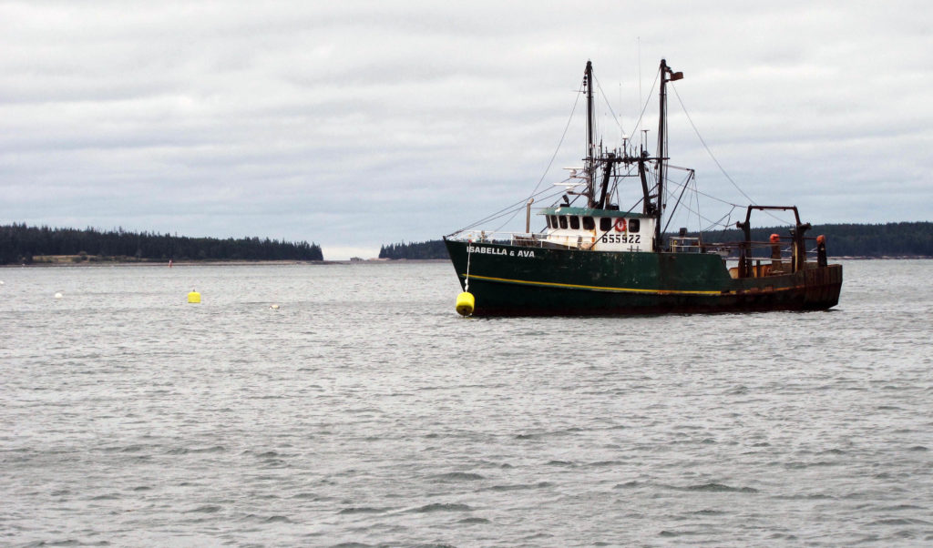 Isabella and Ava off Bass Harbor.