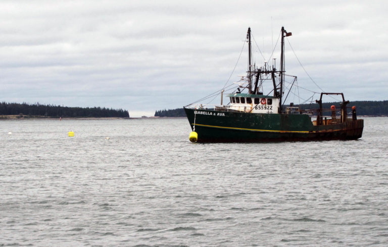 Isabella and Ava off Bass Harbor.