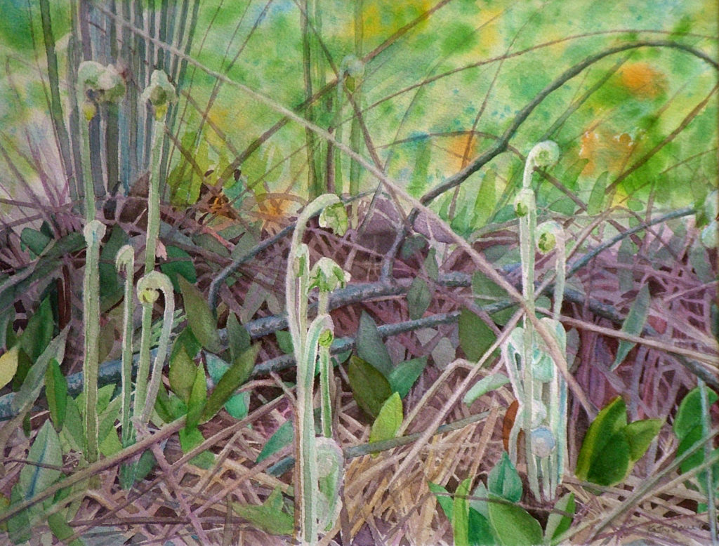 New works featured in Archipelago’s “Spring Tide” gallery show include “Fiddleheads” by Kathy Lane