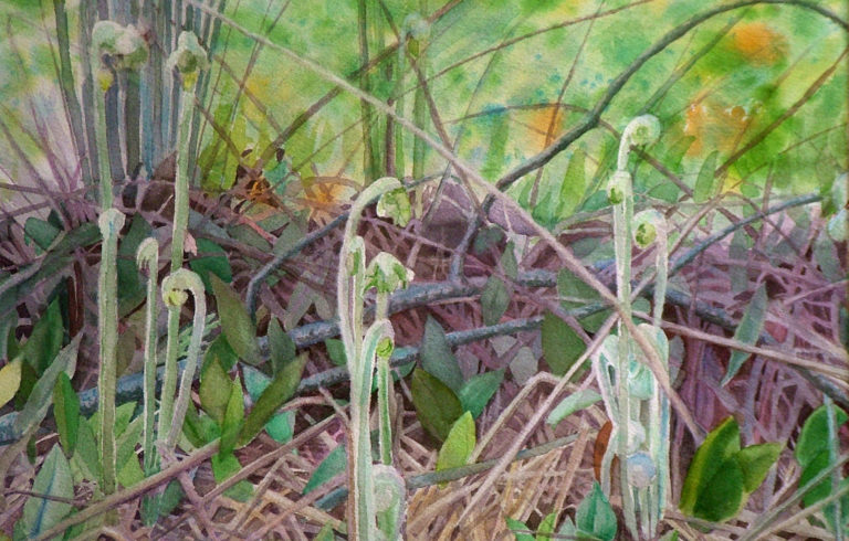New works featured in Archipelago’s “Spring Tide” gallery show include “Fiddleheads” by Kathy Lane