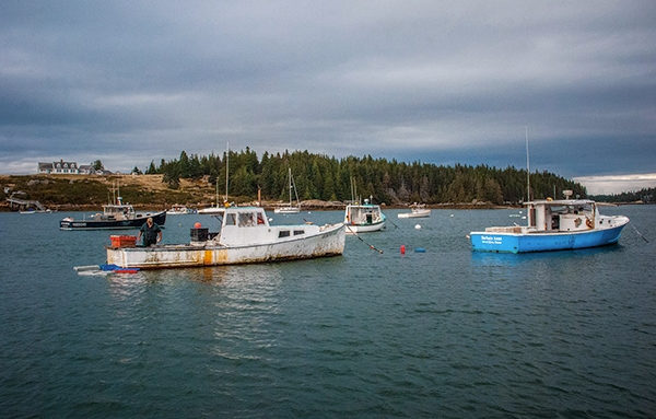 Lobster boats in the harbor of Isle au Haut. Nearly 50% of the community's year-round residents make their living as lobstermen.