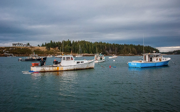 Lobster boats in the harbor of Isle au Haut. Nearly 50% of the community's year-round residents make their living as lobstermen.