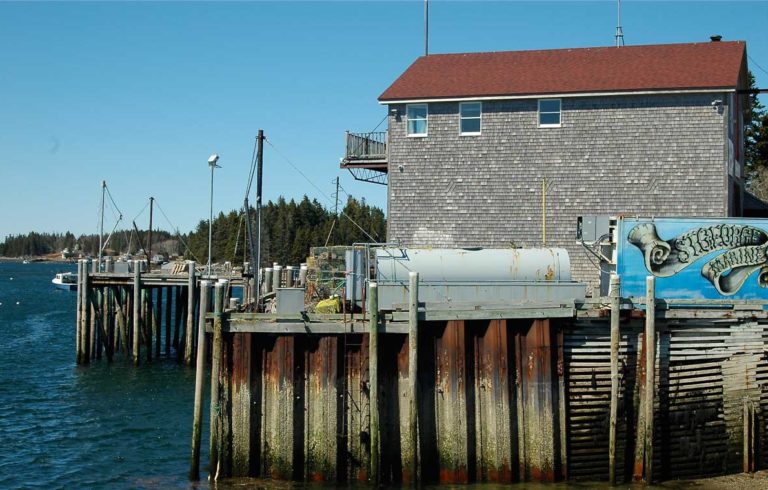 The wharf in Port Clyde.