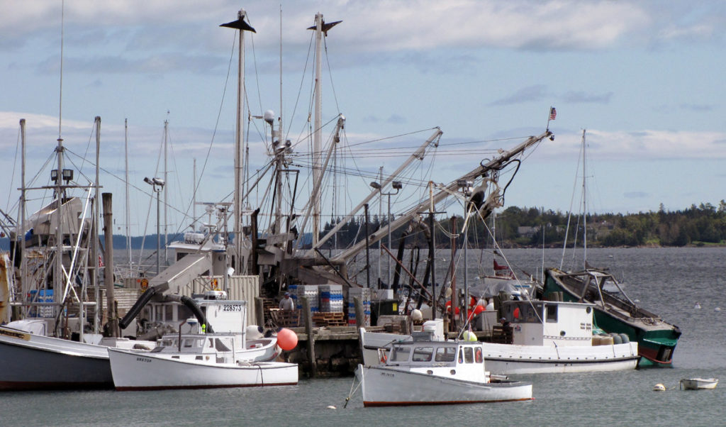 Rockland's fish pier.