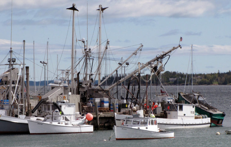 Rockland's fish pier.