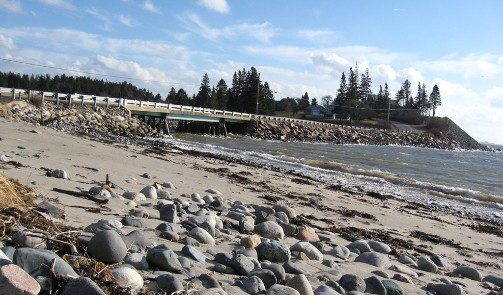 The shore at Roque Bluffs in Washington County.