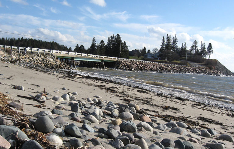 The shore at Roque Bluffs in Washington County.