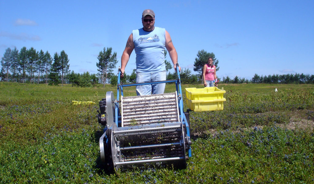 The Emerson harvester