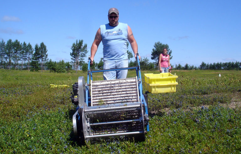 The Emerson harvester