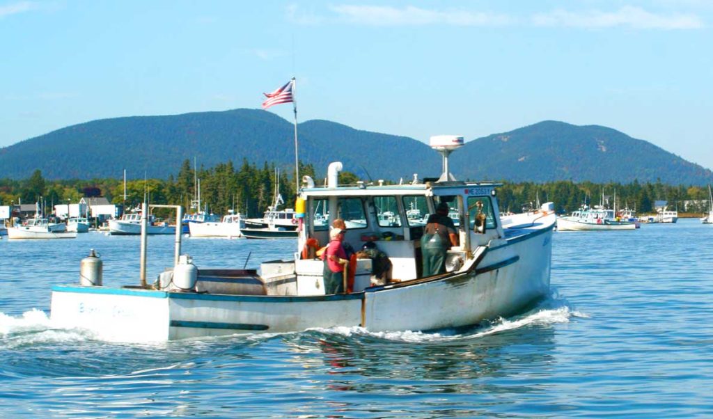 Fishermen head back to Bass Harbor after a day hauling traps.