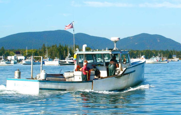 Fishermen head back to Bass Harbor after a day hauling traps.