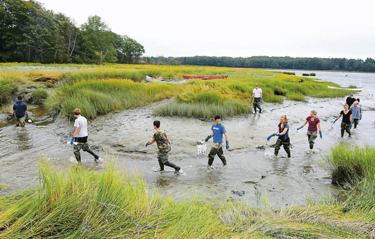 Brunswick High School  Marine Biology students test our their waders on their first day at the outdoor classroom on Maquoit Bay.