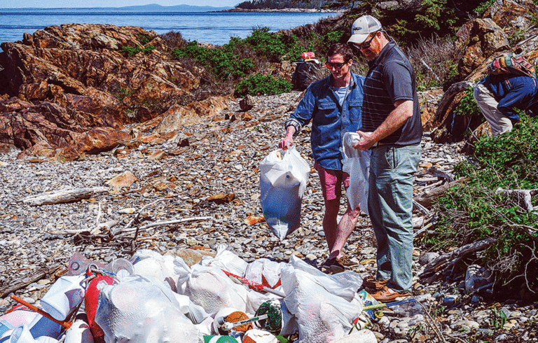 Volunteers pick up trash on a Midcoast island this summer.