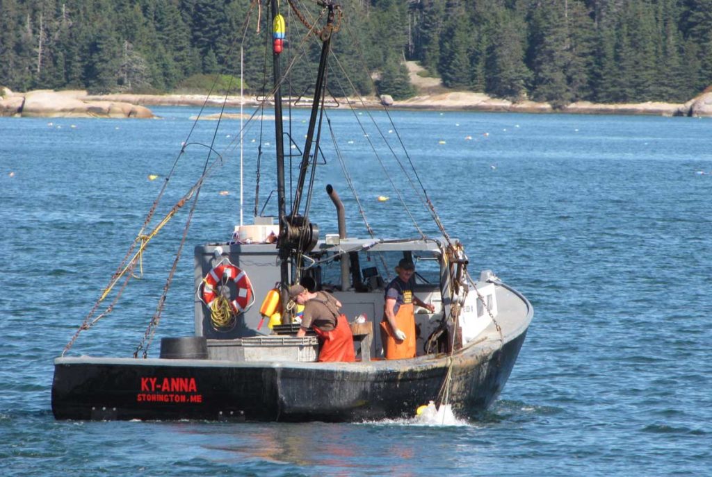 A lobster boat off Stonington.