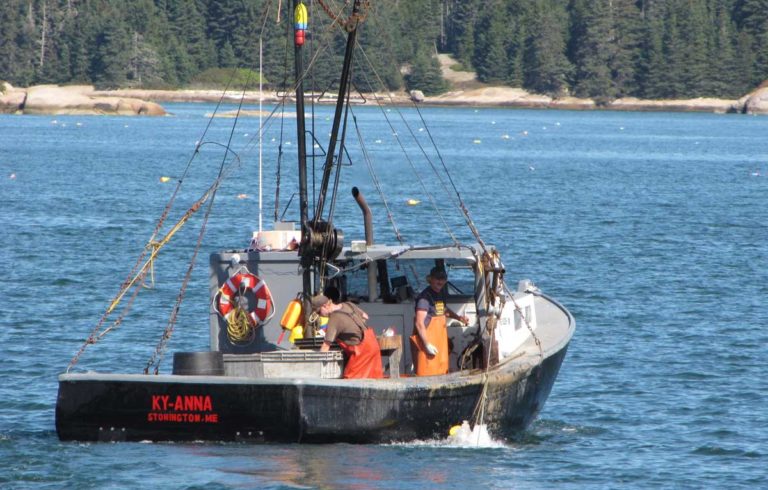 A lobster boat off Stonington.