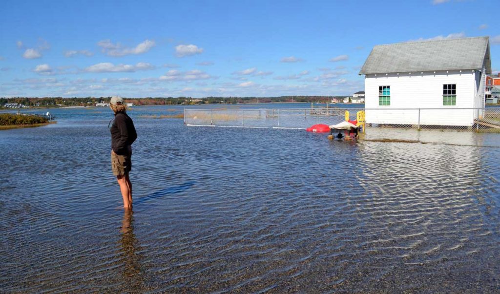 An especially high tide in Wells a few years back shows the Maine coast's vulnerability to rising sea levels.