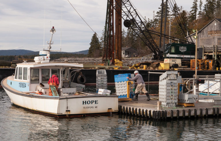 Fishermen work on the waterfront on Islesford as November settles in.