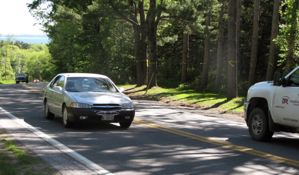 Yellow ribbons mark trees that would be removed from a stretch of U.S. Route 1 north of Camden village slated for work by the Department of Transportation