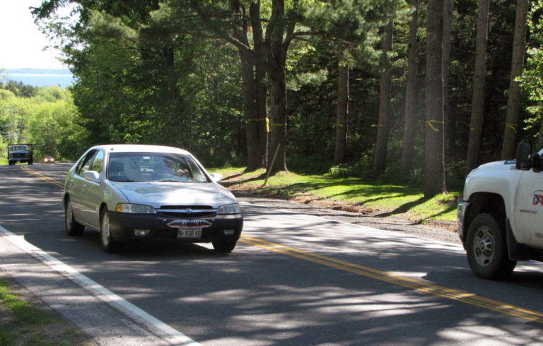 Yellow ribbons mark trees that would be removed from a stretch of U.S. Route 1 north of Camden village slated for work by the Department of Transportation