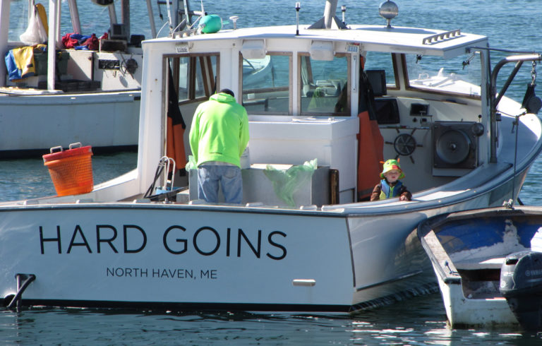 A lobsterman and his young helper in the Fox Islands Thorofare.