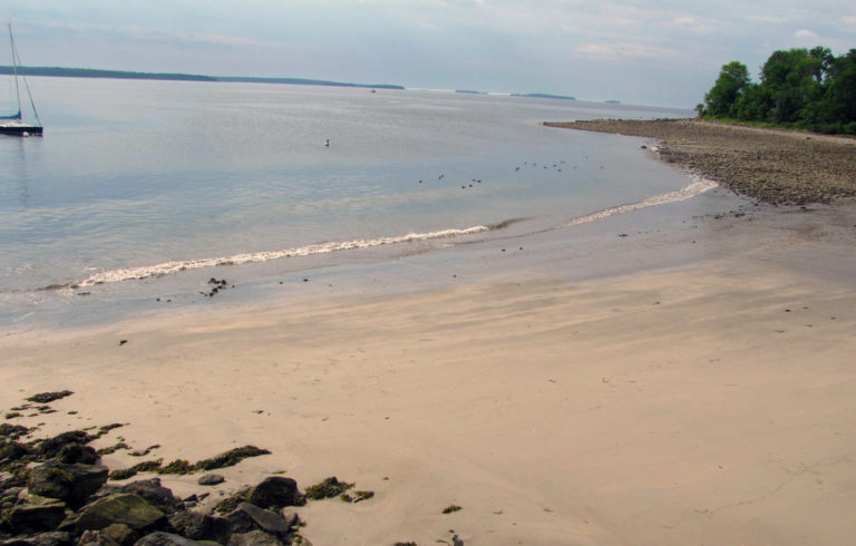 A beach in the Midcoast.