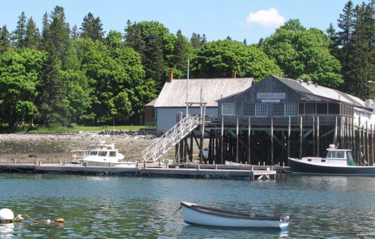 Islesford waterfront in June